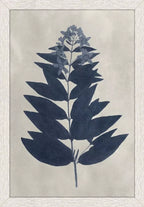 Pressed Flower I S/4