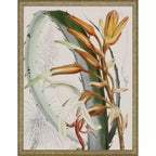 Tropical Variety S/4