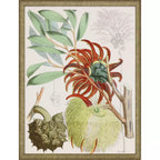Tropical Variety S/4