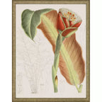 Tropical Variety S/4